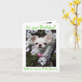 Gelukkige Verjaardag voor Honden Kaart (Gele Bloem)