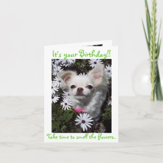 Gelukkige Verjaardag voor Honden Kaart