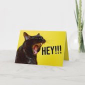 Gelukkige verjaardag voor iedereen die Humor schre Feestdagen Kaart (Voorkant)