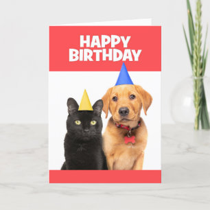 Gelukkige verjaardag voor iedereen Kat en Hond in  Feestdagen Kaart