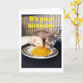 GELUKKIGE VERJAARDAG - WE HEBBEN HET AAN ONS EINDE KAART (Gele Bloem)