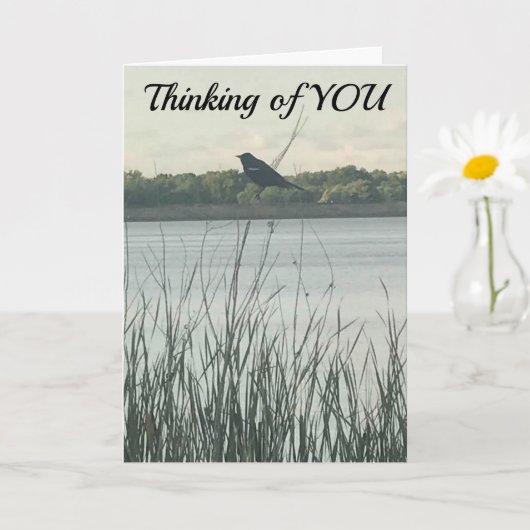 ***GELUKKIGE VERJAARDAG*** WENS DAT HET "IN PERSON KAART (Kleine Plant)