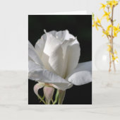 Gelukkige Verjaardag - White Rose Kaart (Gele Bloem)
