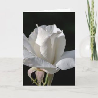 Gelukkige Verjaardag - White Rose Kaart