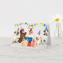 Gelukkige Verjaardag Wilde Feestdieren