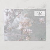 Gelukkige verjaardag! (Winterbloesem) Briefkaart (Achterkant)