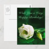 Gelukkige verjaardag witte roos op groen briefkaart (Voorkant / Achterkant)