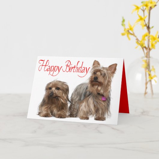 Gelukkige Verjaardag Yorkshire Terrier Puppy Rood  Kaart (Gele Bloem)