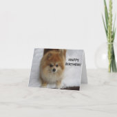 GELUKKIGE VERJAARDAG, ZEGT DE POMERANIAAN KAART (Voorkant)