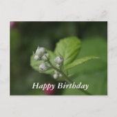 Gelukkige Verjaardag, zomer wilde frambozen bloemk Briefkaart (Voorkant)