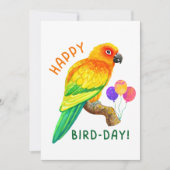 Gelukkige Verjaardag Zon Conure Parrot Vogelliefhe Feestdagenkaart (Voorkant)