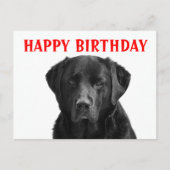 Gelukkige Verjaardag Zwarte Labrador Retriever Pup Briefkaart (Voorkant)