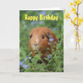 Gelukkige Verjaardagskaart schattige gember cavia Kaart (Gele Bloem)
