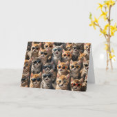 Gelukkige Verjaardagskatten van groep Kaart (Gele Bloem)