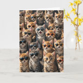 Gelukkige Verjaardagskatten van groep Kaart (Gele Bloem)