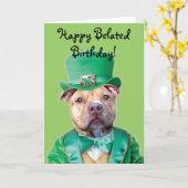 Gelukkige Verlate Verjaardag Ierse Pitbull kaart (Gele Bloem)