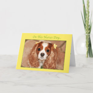 Gelukkige Verpleegstersdag Met Lieve Cavalier King Kaart