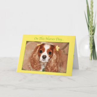 Gelukkige Verpleegstersdag Met Lieve Cavalier King Kaart