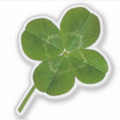 Gelukkige vierbladige klaver Sticker (Voorkant)