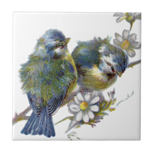 Gelukkige Vintage Vogels Tegeltje