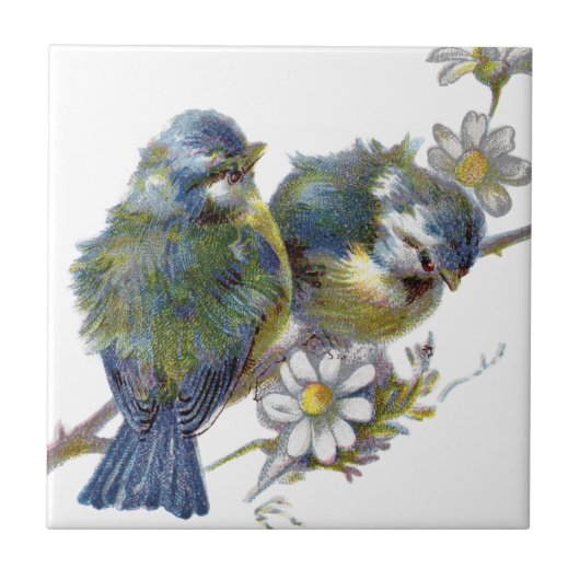 Gelukkige Vintage Vogels Tegeltje (Voorkant)
