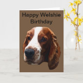 Gelukkige Welshie verjaardag Kaart (Gele Bloem)