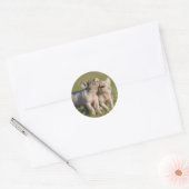 Gelukkige Witte Biggen Romping in Veld Ronde Sticker (Envelop)