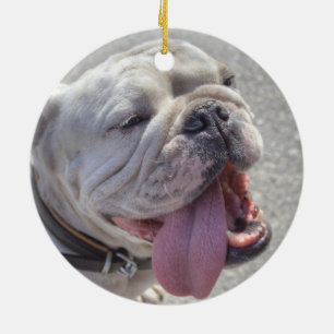 Gelukkige Witte Buldog Keramisch Ornament