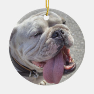 Gelukkige Witte Buldog Keramisch Ornament