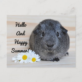 Gelukkige Zomer Guinee Pig Briefkaart