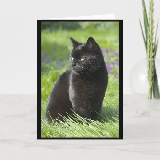 Gelukkige Zwarte Kat Kaart (Voorkant)