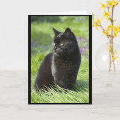 Gelukkige Zwarte Kat Kaart (Gele Bloem)