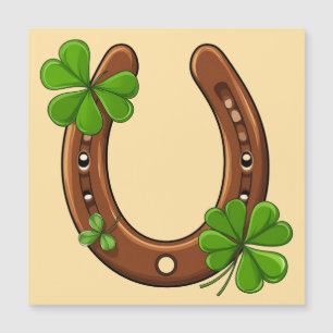 🍀 Geluksbrengende Hoefijzer Cadeau Voor St. Patri