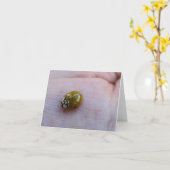 Geluksbriefjes Kaart (Gele Bloem)