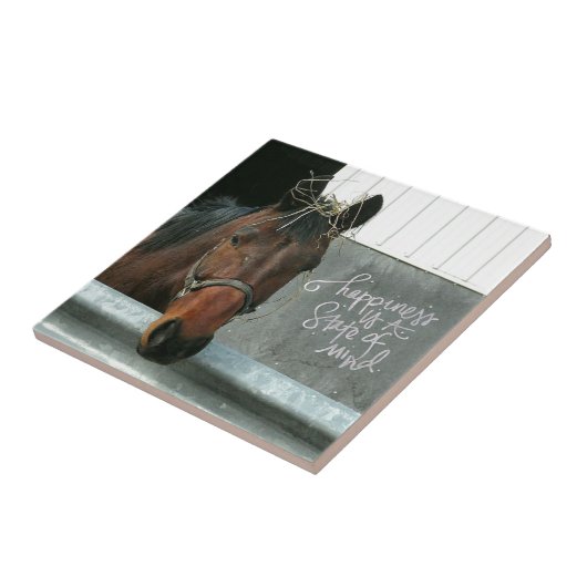 Gelukspaard Tegeltje (Zijkant)