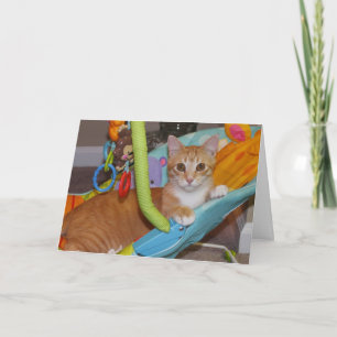 Gelukwensen bij de uw nieuwe toevoeging kaart