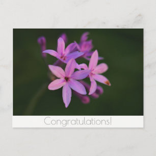 Gelukwensen Bloemen Ansichtkaart Briefkaart