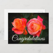 Gelukwensen Broadway Rose #1 Ansichtkaart Briefkaart (Voorkant / Achterkant)