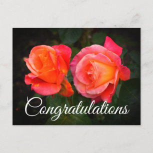 Gelukwensen Broadway Rose #1 Ansichtkaart Briefkaart