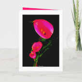 Gelukwensen! Calla van de kaart ~ Roze 2 van de (Achterkant)