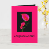 Gelukwensen! Calla van de kaart ~ Roze 2 van de (Gele Bloem)