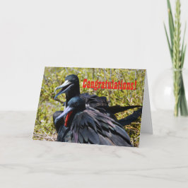 Gelukwensen, Frigatebirds in Liefde Kaart