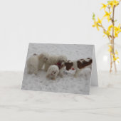 Gelukwensen op de Nieuwe Baan Kaart (Gele Bloem)