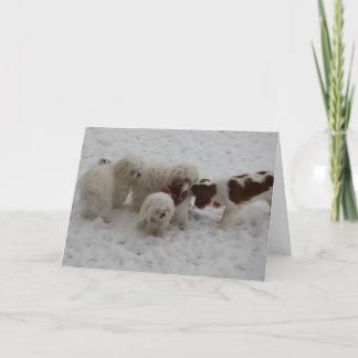 Gelukwensen op de Nieuwe Baan Kaart