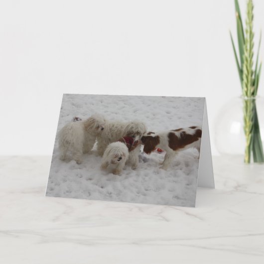 Gelukwensen op de Nieuwe Baan Kaart (Voorkant)