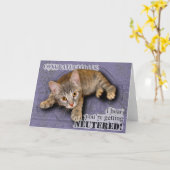 Gelukwensen! U bent neutered! Kaart (Gele Bloem)