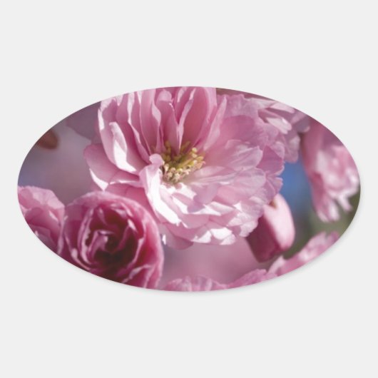 Gelukzalige Bloesems Ovale Sticker (Voorkant)