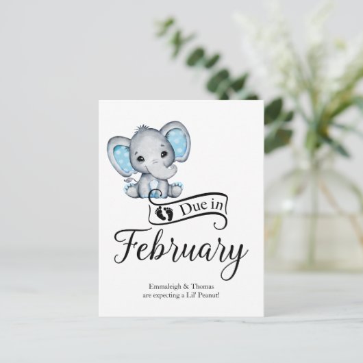 Gelverschuldigd in februari Little Peanut Baby Boy Briefkaart (Staand voorkant)