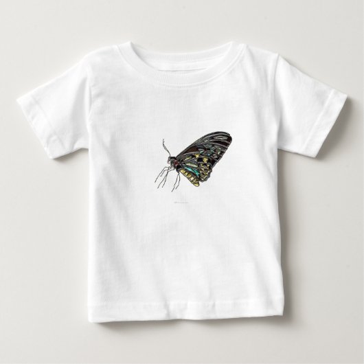 Gem Black Butterfly (Voorkant)