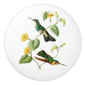 Gem Hummingbird, witte geduroteerde bergmonniksvog Keramische Knop (Voorkant)